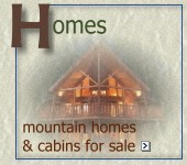 Mountain homes & cabins
