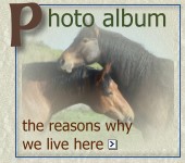 Arrowhead Photo Album