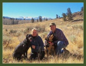 Arrowhead Ranch Real Estate
