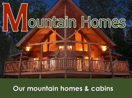 Mountain homes & cabins